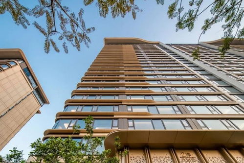 廈門 中駿 天盈 融合本土文化和設計美學的匠心之作鳳凰網山東 鳳凰網